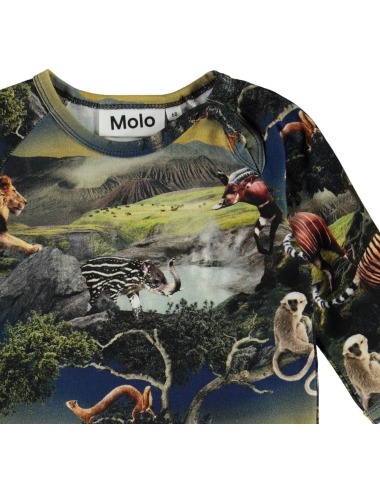 copy of molo