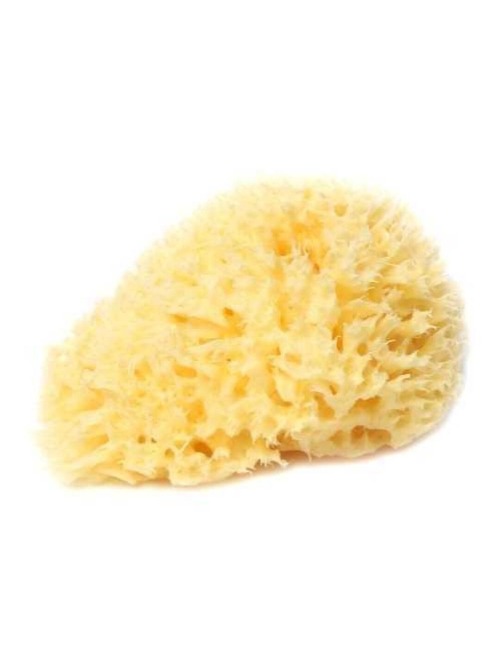 ESPONJA NATURAL BELLINI