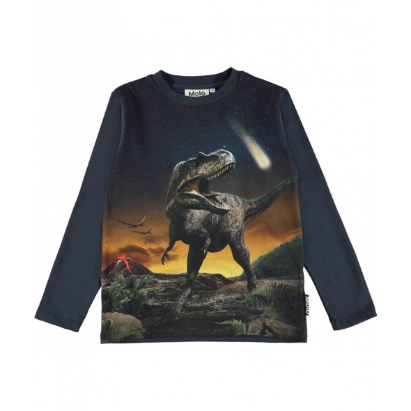 Camiseta Reif Dino Roar de Molo kids