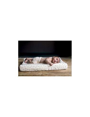 copy of FUNDA CAMBIADOR SAGE
