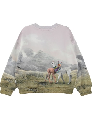 copy of CAMISETA MOLO