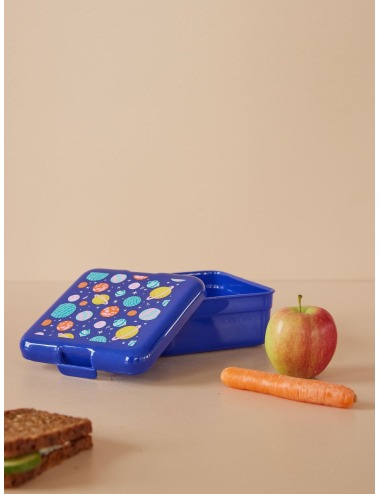 copy of LUNCH BOX FLYING PIG