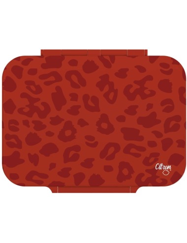 copy of SNACK BOX DINO