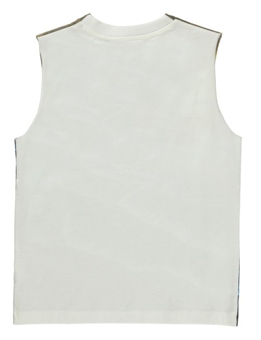 copy of CAMISETA SIN MANGAS RAY IN THE BUSH