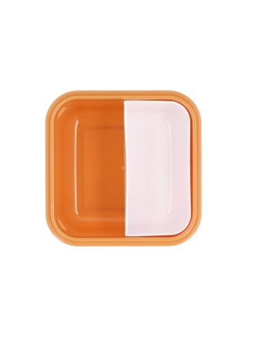 copy of LUNCH BOX BENTO SAVANNAH