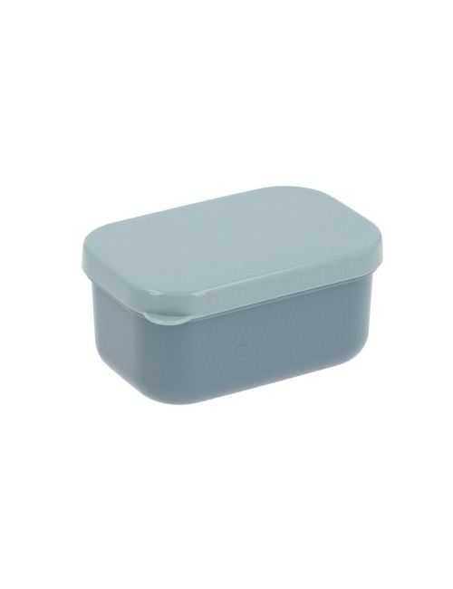 copy of LUNCH BOX BENTO SAVANNAH