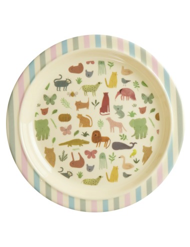 copy of TUPPER RICE