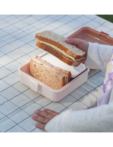 LUNCH BOX MONBENTO SNACKY FOX