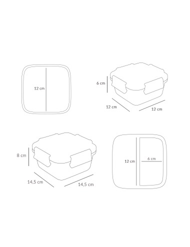 LITTLE RED BIG LUNCH BOX