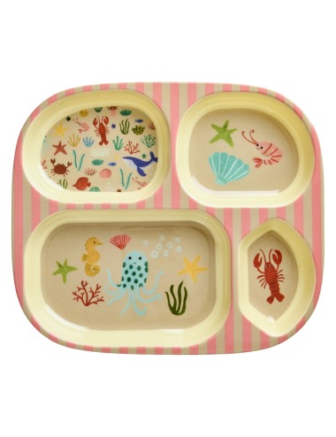 TRAY 4 COMPARTMENTS CORAL OCEAN