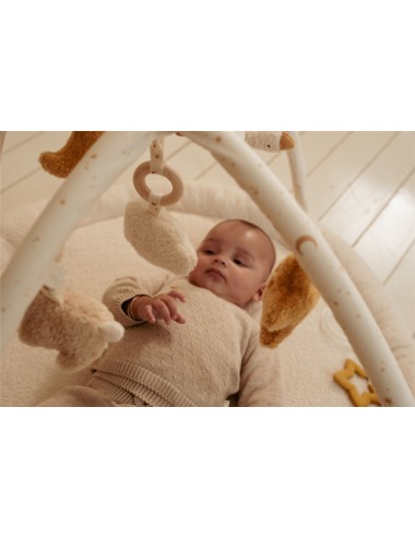 NEWBORN NATURALS LITTLE DUTCH ACTIVITY MAT