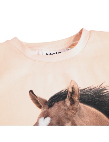 copy of RIMONA FLORAL FUN MOLO SHORT SLEEVE T-SHIRT