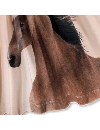 CISSA WILD PONY SHORT SLEEVE DRESS MOLO
