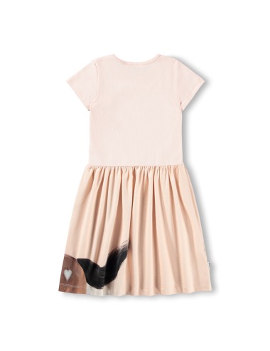 CISSA WILD PONY SHORT SLEEVE DRESS MOLO