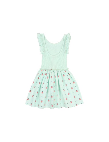 AQUA STRAWBERRY COMBI DRESS