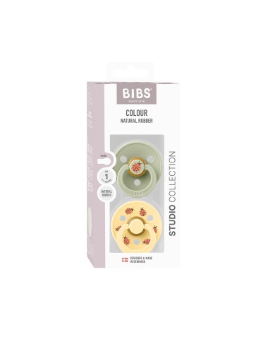 BIBS STUDIO COLOR ROUND LADYBUG SAGE MIX PACIFIER, 2 PACK
