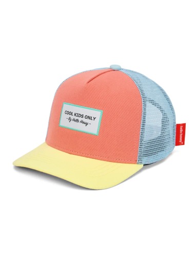 MINI NEO HELLO HOSSY TRUCKER