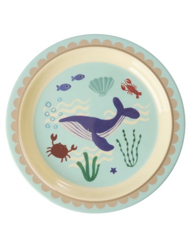 RICE BLUE OCEAN FLAT PLATE