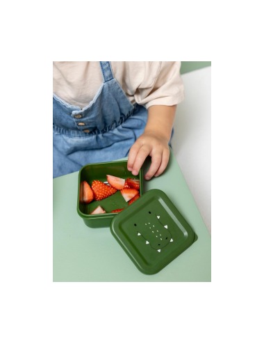 SNACK BOX TRIXIE SET 3 PIEZAS MR. ALLIGATOR