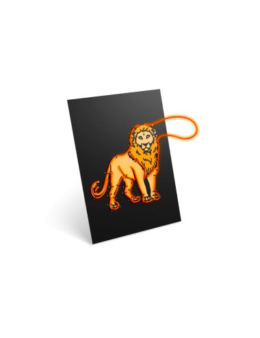 KIDYNEON NARANJA